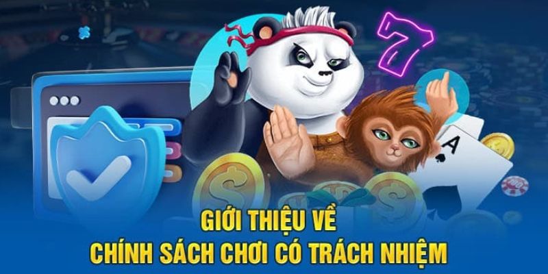 Khái quát về chính sách giúp đảm bảo an toàn cho hội viên